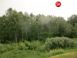 Suur-Tisleri, Vääna, Harku vald, Harjumaa (3 foto / 10)