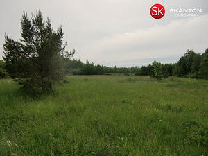 Suur-Tisleri, Vääna, Harku vald, Harjumaa (5 foto / 10)