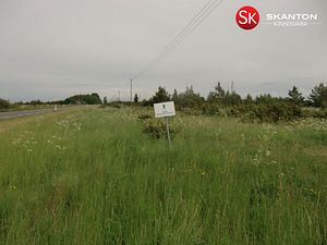 Suur-Tisleri, Vääna, Harku vald, Harjumaa (10 foto / 10)