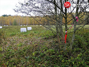 Uue-Vabriku, Kiideva, Haapsalu linn, Läänemaa (6 foto / 10)