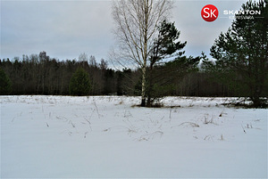 Õnnemetsa, Raudoja, Anija vald, Harjumaa (5 foto / 10)