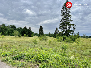Parkheina, Valingu, Saue vald, Harjumaa (2 foto / 8)
