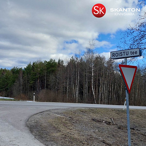 Roistu tee, Manni, Märjamaa vald, Raplamaa (4 foto / 10)