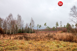 Väike-Luha, Suursoo, Rae vald, Harjumaa (2 foto / 10)