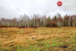 Väike-Luha, Suursoo, Rae vald, Harjumaa (10 foto / 10)