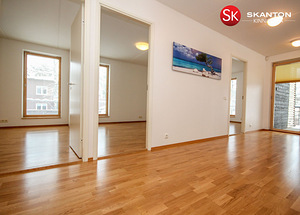 Vanemuise tn 42, Nõmme, Tallinn, Harjumaa (9 foto / 10)