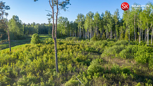 Kaste tn, Kangru, Kiili vald, Harjumaa (8 foto / 10)