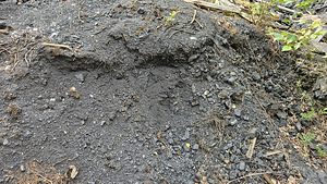 TASUTA ÄRA ANDA PEEN KIVISÜSI (2 foto / 5)