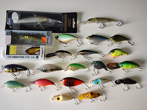 Daiwa landid (1 foto / 1)