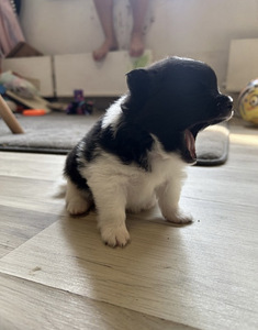 Peigmees ootab pruudikest (5 foto / 7)