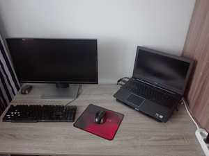 Продам DELL G3 3579 очень хорошо (10 фото из 10)