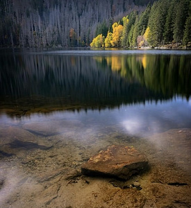 Видеограф-фотограф (8 фото из 8)