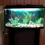 Kapiga akvaarium (120L) (foto #2)