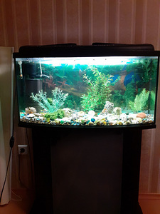 Kapiga akvaarium (120L)