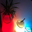ПРОДАЕТСЯ: Лампы Luxx с динамиками и меняющими цвет. (фото #1)