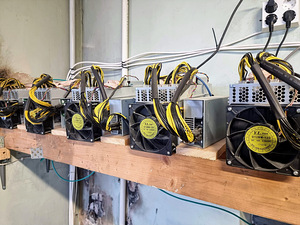 Bitmain Antminer L3+ (1 - 3 tk) (6 foto / 6)