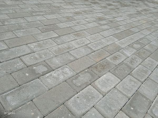 Работы по укладке тротуарной плитки (фото #3)