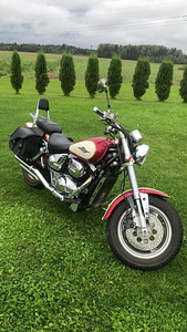 Suzuki VZ800 Marauder 1999 (1 foto / 4)