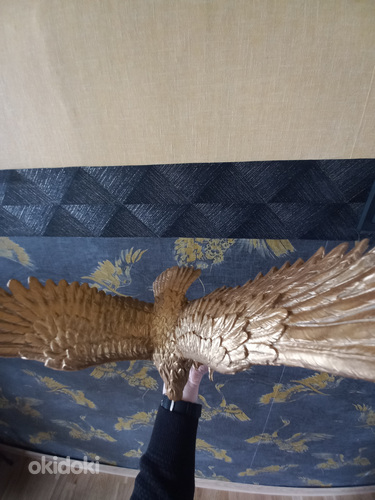 Золотой большой орел (фото #5)
