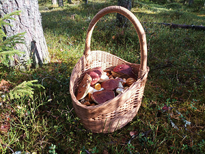 Käsitöö korvid (4 foto / 4)