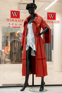 WAM (3 фото из 6)