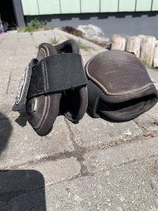 Kaitsmed ja Sadulavöö (2 foto / 8)