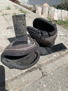 Kaitsmed ja Sadulavöö (4 foto / 8)