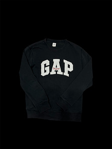 Hoodie GAP (кофта, kampsun) (1 фото из 4)