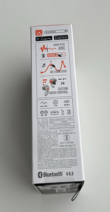 JBL Live Flex , Silver (4 foto / 4)