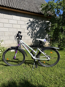 24" jalgratas (4 foto / 6)