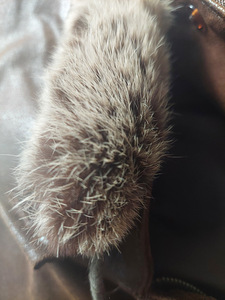 Nahktagi Uus (3 foto / 8)