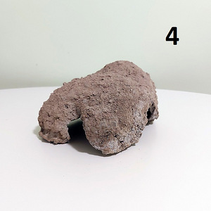 Lemmiklooma majad / Varjupaigad loomadele / Varjupaigad lemmikloomadele (4 foto / 6)