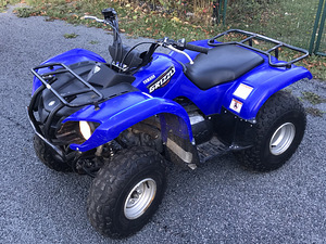 Yamaha grizzly 125 2008 (2 foto / 2)
