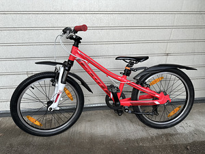 Scott Contessa jr20 (3 foto / 3)