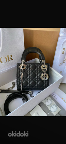 Dior kott