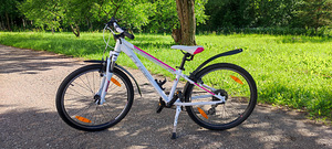 Lasteratas Cube Access 240, 24" (1 foto / 6)