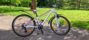 Lasteratas Cube Access 240, 24" (2 foto / 6)