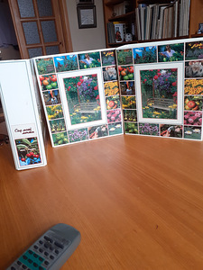 Minu unistuste aed (3 foto / 6)