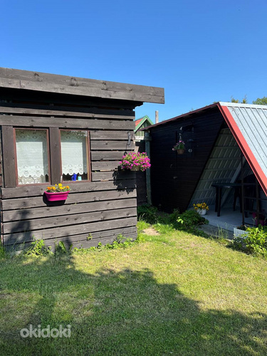 Nurmenuku tn, Paldiski, Lääne-Harju vald, Harjumaa