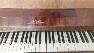 Klaver - piano - пианино Nocturno