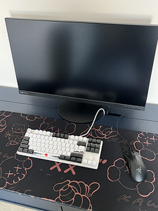 Monitor koos klaviatuuri ja hiirega (2 foto / 5)