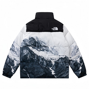 Куртка North Face (2 фото из 4)