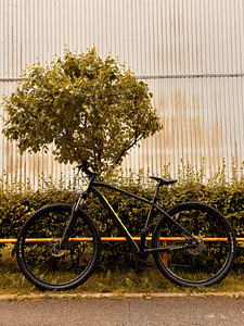 SCOTT Aspect 960 Black (1 фото из 7)
