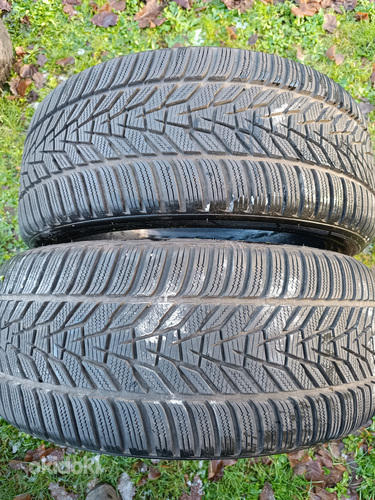 Hankook talverehvid