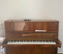 Klaver Kajakas klaver