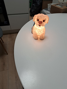 Dekoratiivne koerakujuline lamp. (4 foto / 5)