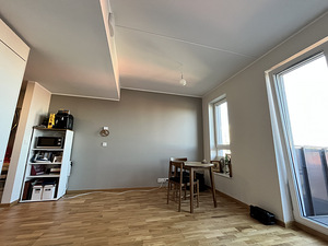 Aiandi tn 9, Mustamäe, Tallinn, Harjumaa (2 foto / 12)
