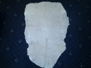 Nahkid sikku (2 foto / 8)