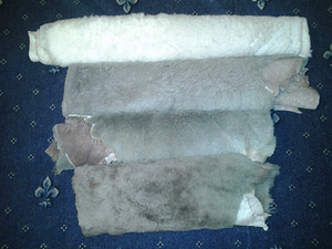 Nahkid sikku (7 foto / 8)