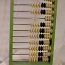 Loenduskoda abacus (foto #2)